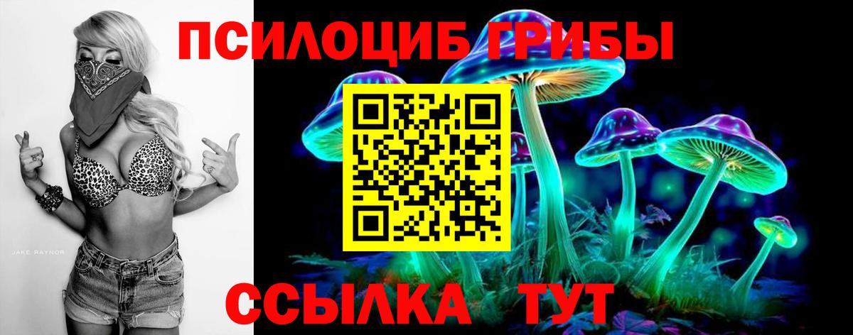 Псилоцибиновые грибы прущие грибы  Псилоцибиновые грибы мухоморы  Вход с VPN  Егорьевск 