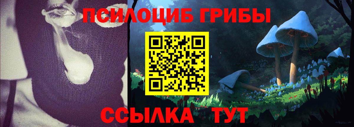 Галлюциногенные грибы GOLDEN TEACHER Егорьевск